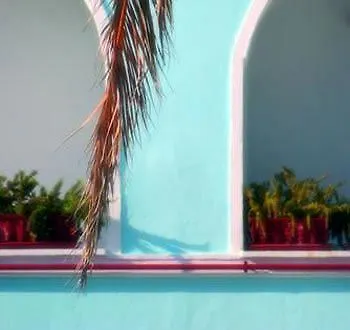 La Palma Szálloda Sant'Angelo (Isola d'Ischia)