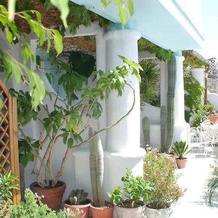 酒店 La Palma Sant'Angelo (Isola d'Ischia)