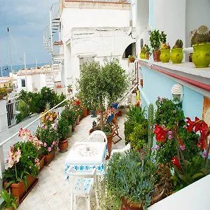 Hotel La Palma