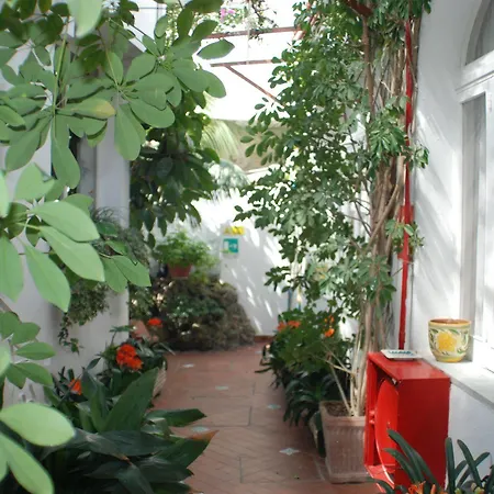 Hotel Hotel La Palma 4*
