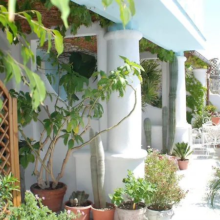 Hotel La Palma Sant'Angelo (Isola d'Ischia)